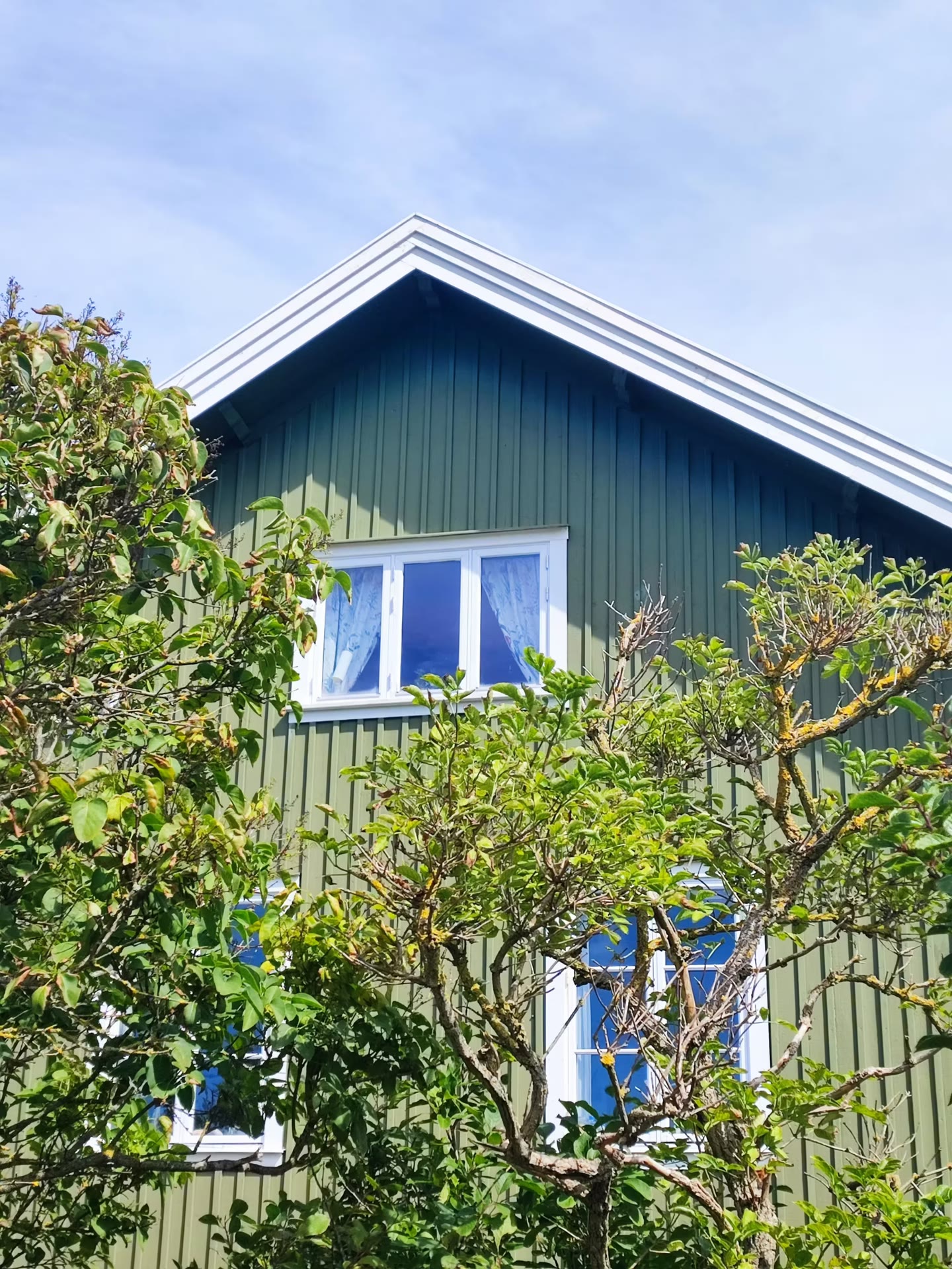 Grönt trähus med vita vindskivor bakom träd