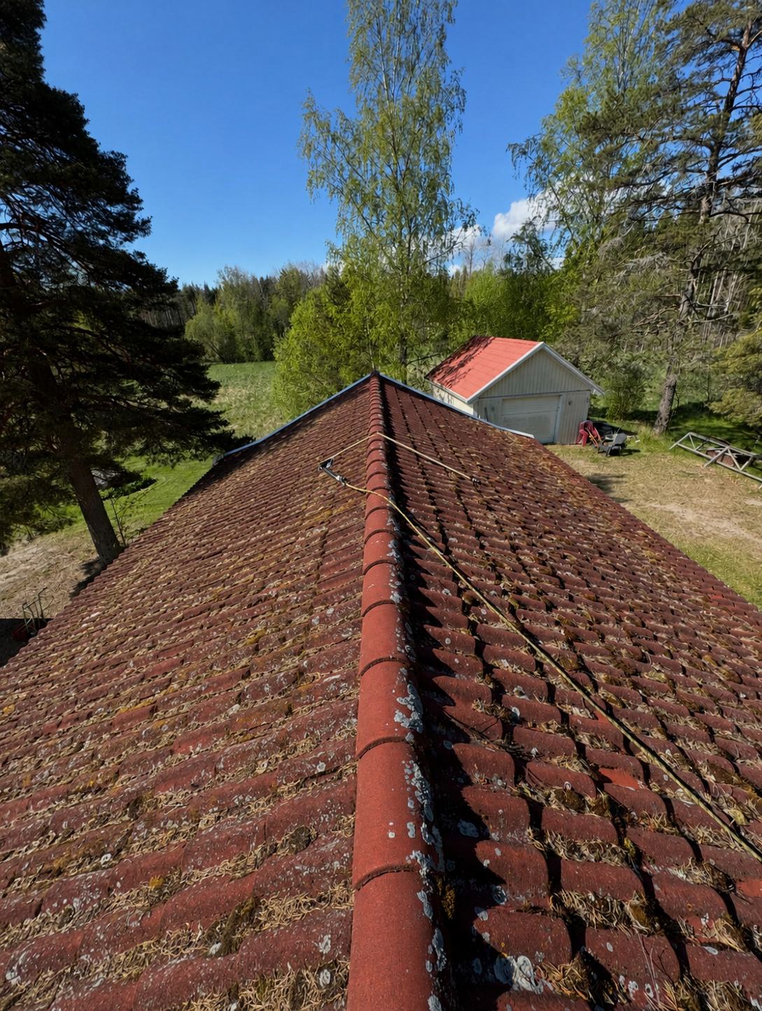 Gammalt tegeltak med mossa som ska renoveras